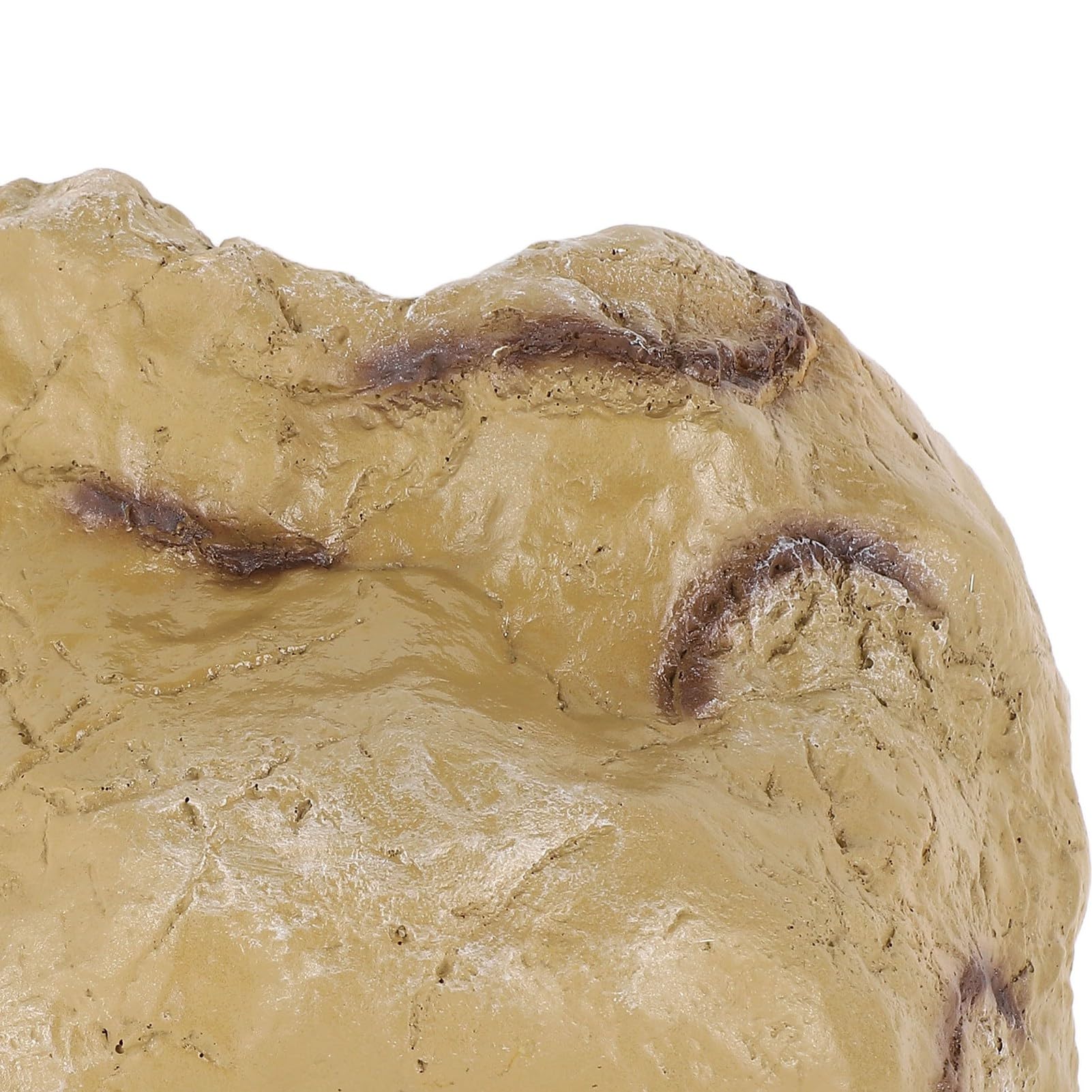 Fish Hiding Cave Resin, Decorazione per rifugio per acquario, vivida e confortevole, senza sbiadimento, per rettili (GS1228)