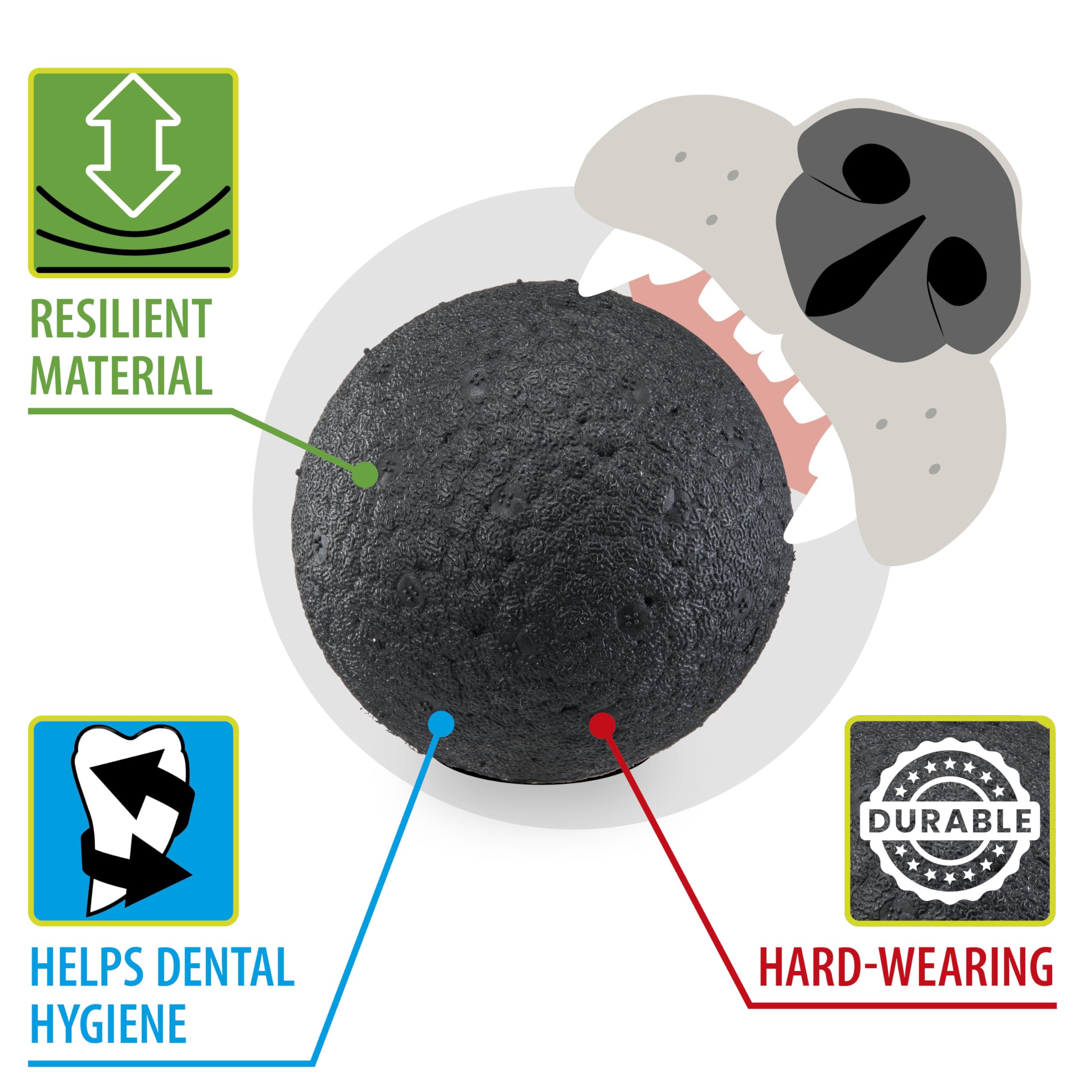 Ferplast CHEWA BOING BALL Dog Toy Super Bouncing & Floating, Innovative Chewing-Resistant Material - Image 3