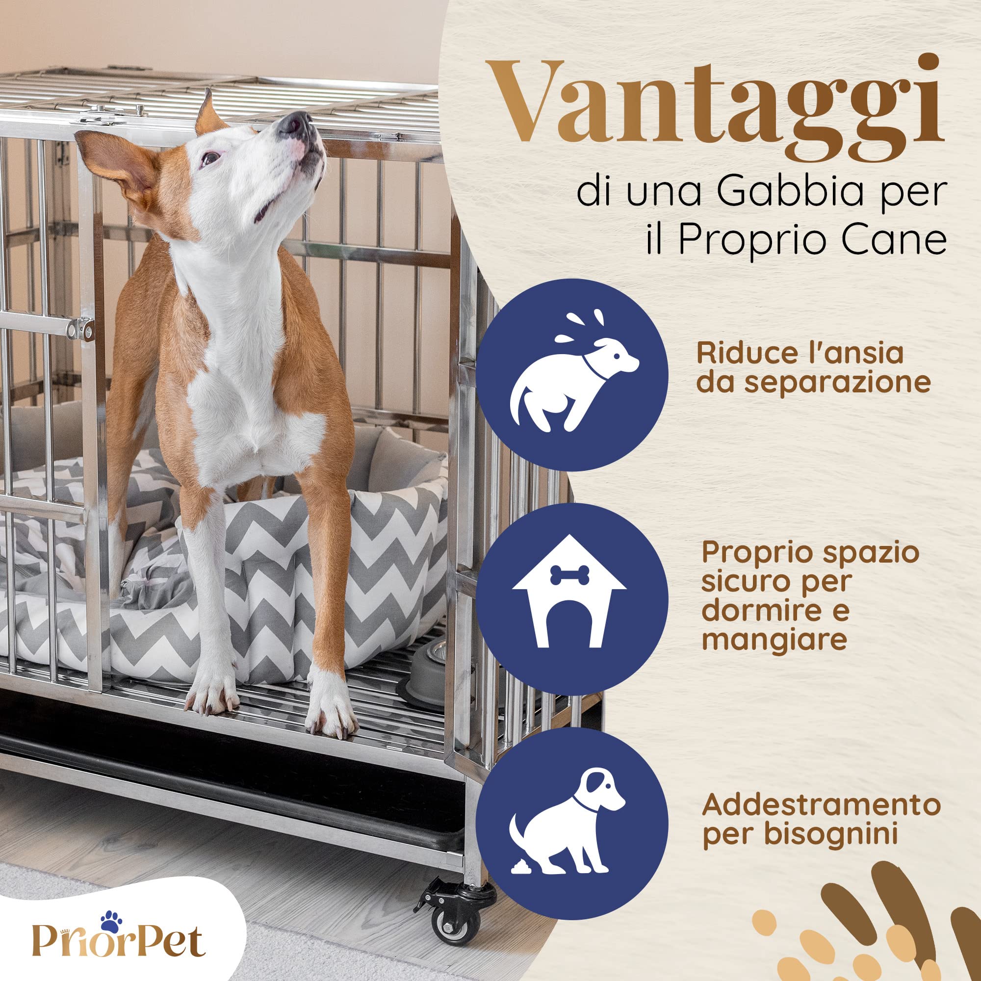 PRIORPET Solida Gabbia per Cani - Design Pieghevole e Facile da Montare per Un Agevole Trasporto - Doppia Serratura per Una Maggiore Sicurezza - Vassoio Rimovibile per Una Rapida Pulizia