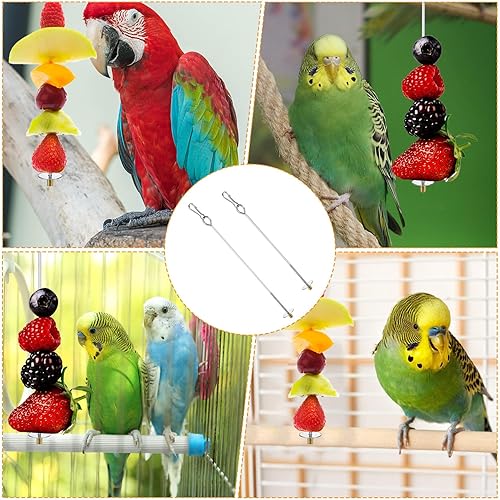 2PCS Bird Cage Food Holder with Hook, Stainless Steel Bird Feeder for Cage, Parrot Fruit Skewers, Bird Foraging Toys for Macaw Parakeet Parrot Budgie (2 Sizes)