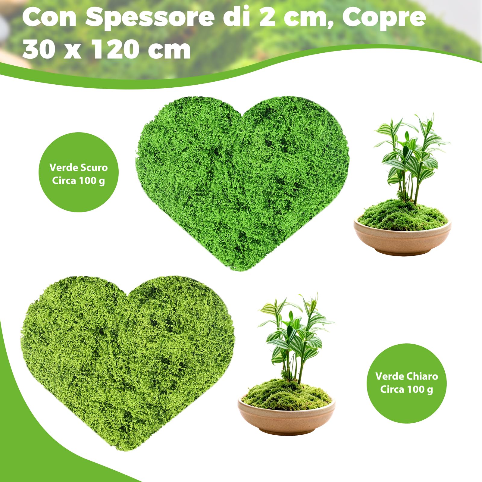 200g di Muschio Stabilizzato Artificiale, Muschio Finto Verde Scuro e Chiaro, Lichene Sintetico Simulazione per Decorazioni, Modellismo, Terrari e Pareti, Ideale per Acquari e Decorazioni per la Casa - 3
