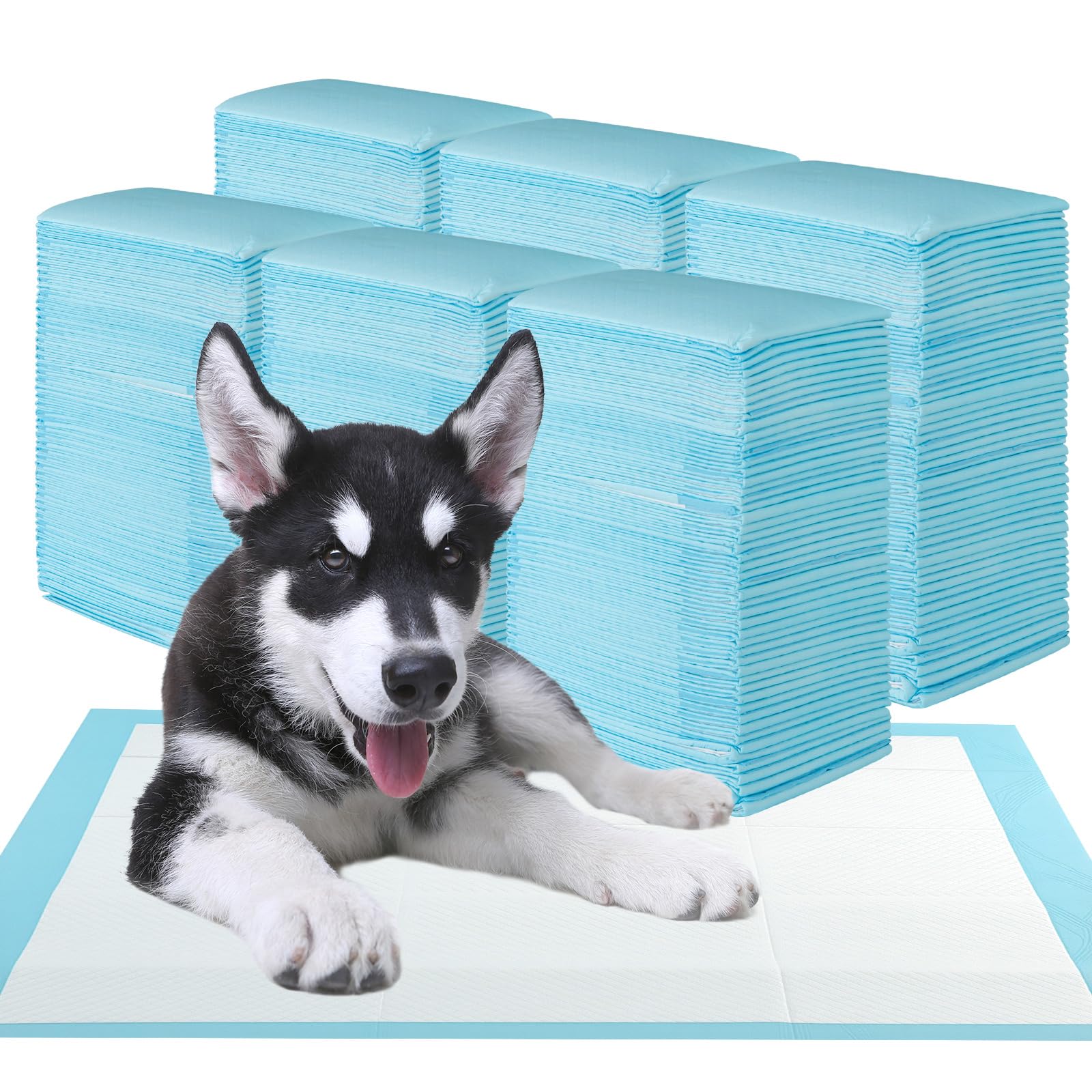 FANTASK Matten für Hunde, 150 Stück Trainingspads, Auslaufsicheres 6-lagiges Design, Hygieneunterlagen Einwegpads, schnelltrocknend, Welpen Unterlagen (90 x 60 cm), Blau+weiß