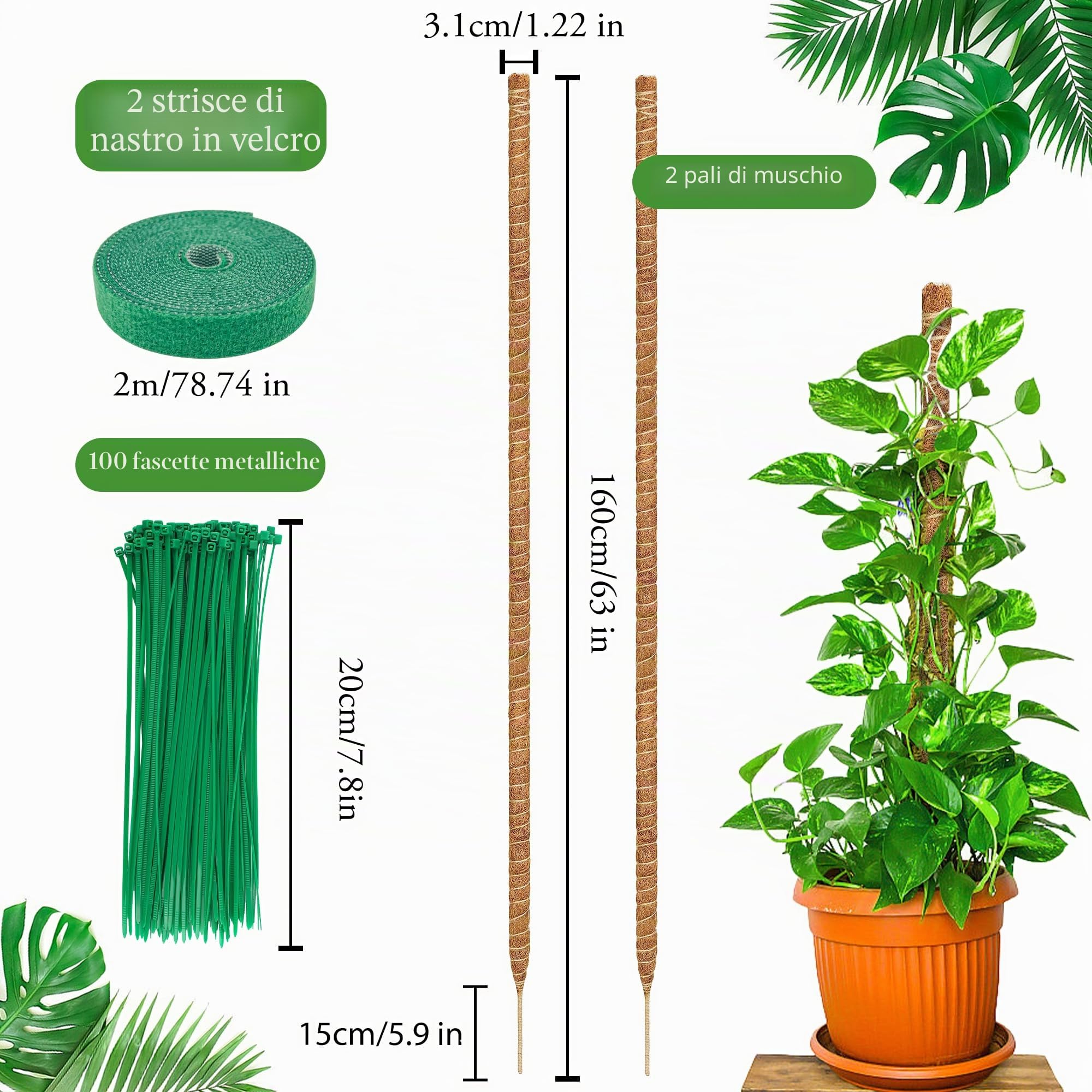 COZCLAM Palo di Muschio, 2Pezzi 160cm Tutore Piante, Palo in Fibra di Cocco per Piante Rampicanti, Pieghevoli Supporti per Piante, Supporto per Monstera per Piante Rampicanti che Crescono Verso l'alto