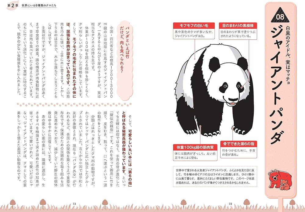 Amazon.co.jp: 眠れなくなるほど面白い 図解 クマの話 : 山﨑 晃司