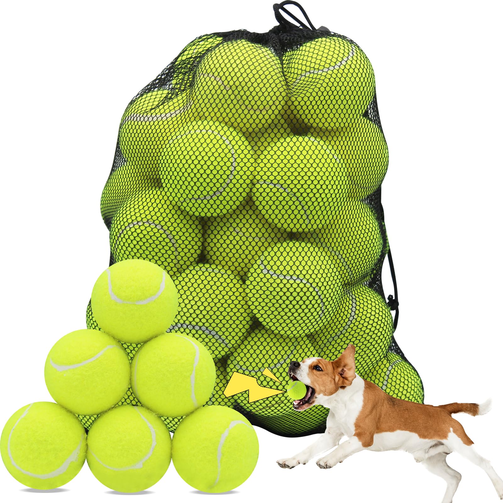 Swingers Squeaky Tennis Balls for Dog, 2.5 Inch Training Tennis Balls