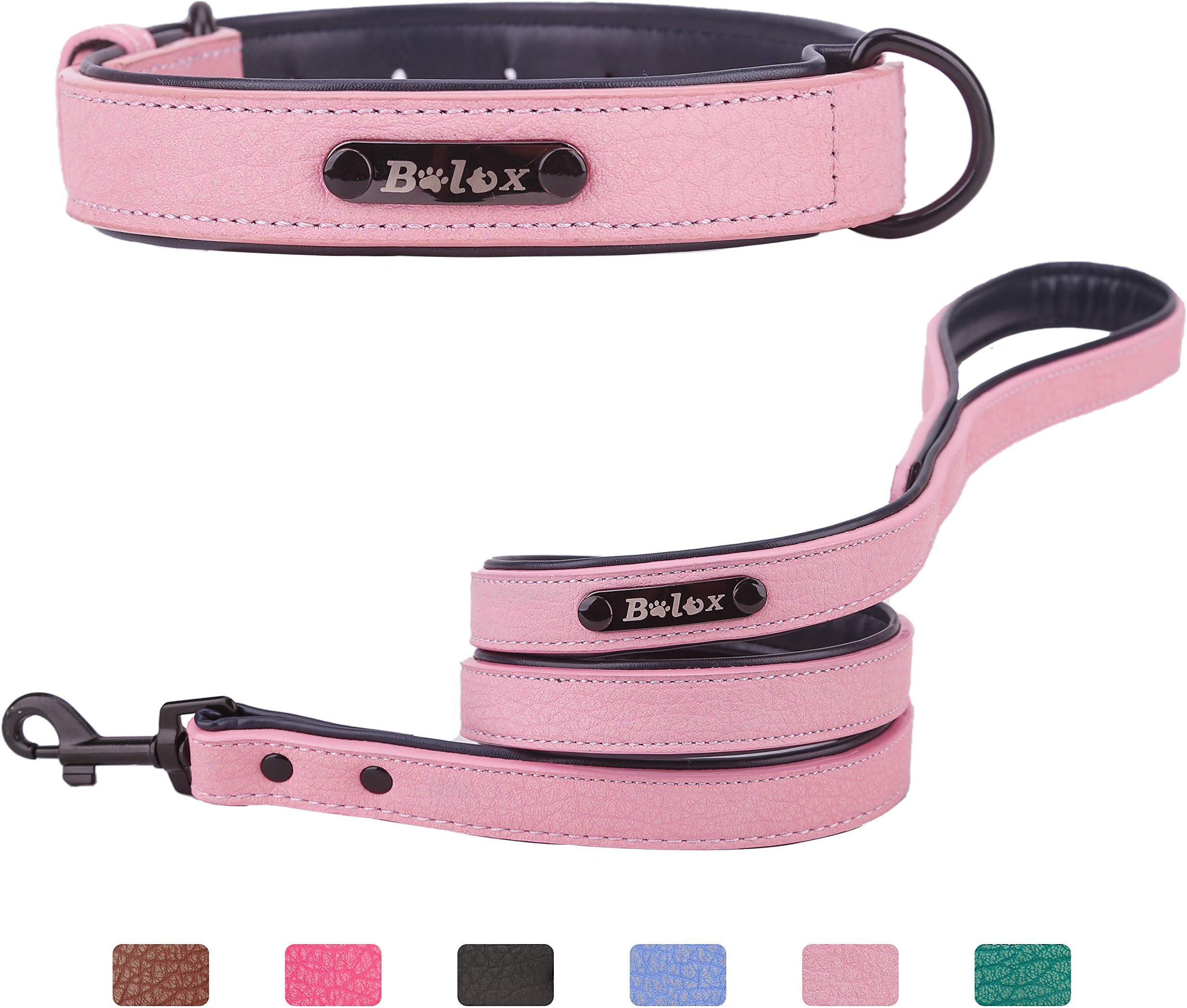 Soft Touch Dog Collar with Leash, Luxury Leather Pet Basic Collars for Small Medium Large Dogs