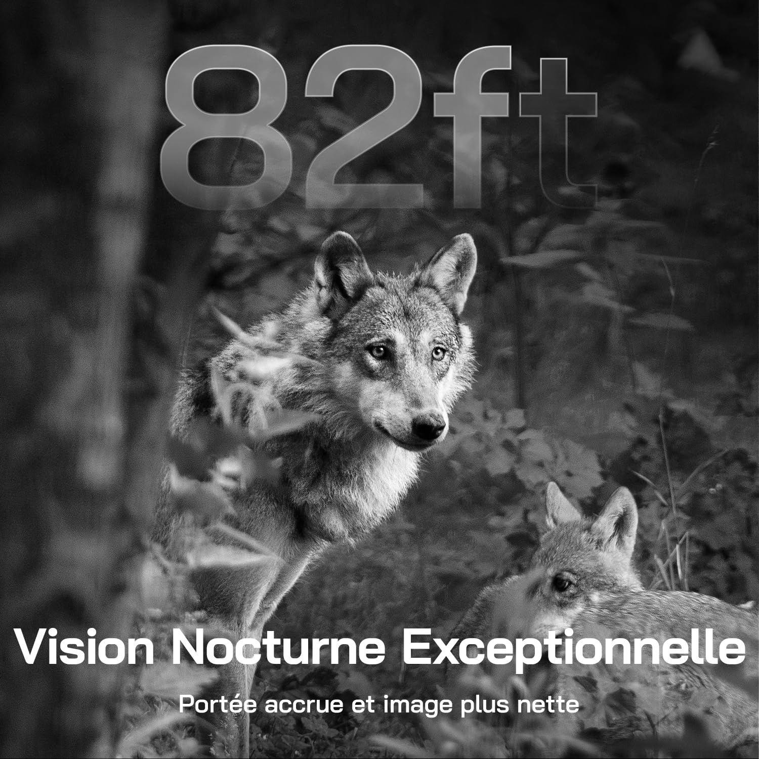 WOLFANG 4G Caméra de Chasse Solaire Extérieure avec Carte SIM, 2.5K Caméra Surveillance sur Batterie avec Détecter l'alarme, Vision Nocturne, IP66 Etanche, Audio Bidirectionnel, Noir
