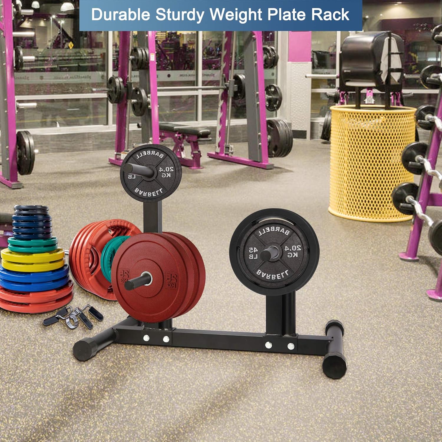 Ibnotuiy 1in Weight Plate Rack Tree for Dumbbell Plates Olympic Free Weight Storage Rack Stand with 2 Standard Bar Holder for Home Gym Maximum Load 440 lb : Sports & Outdoors