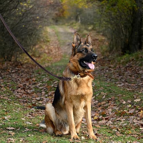 Miniatura 2 de Correa de cuero genuino para perros, correas de entrenamiento resistentes para perros de razas grandes y perros medianos, 4 pies, 5 pies, 6 pies de