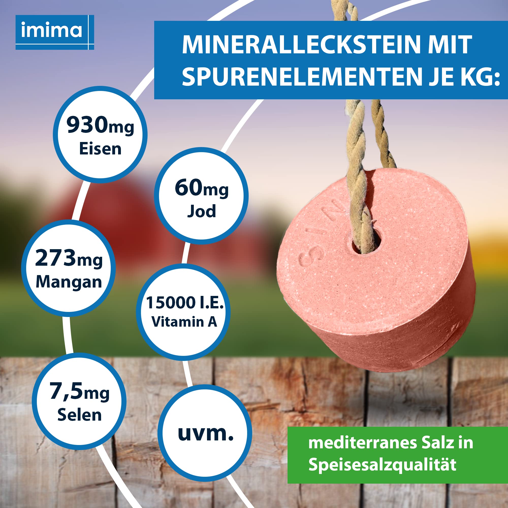 Mineralleckstin Pferd ENERGOBLOCK Salzleckstein Set 2 x 3kg - Salzlecksteine für Pferde, Schafe, Ziegen, Wild und Rind - Salz Leckstein Mineralstein