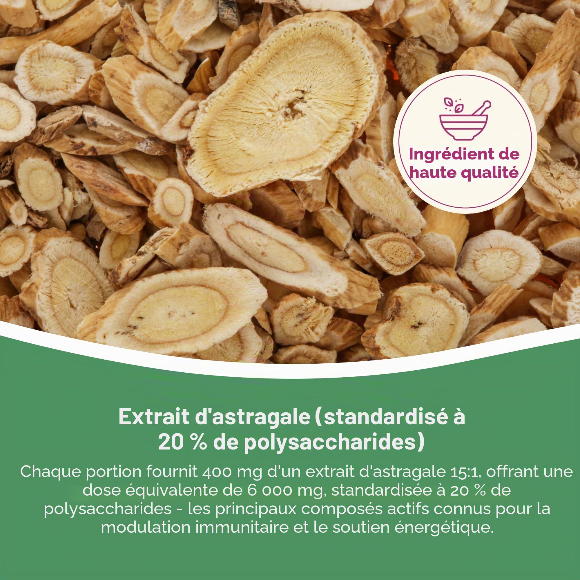 Hepatica Astragale Membranaceus 6.000 mg Équivalent | Extrait 15:1 400 mg | Standardisé à 20% de Polysaccharides (80 mg) | 120 Gélules Véganes | GMP & laboratoire indépendant