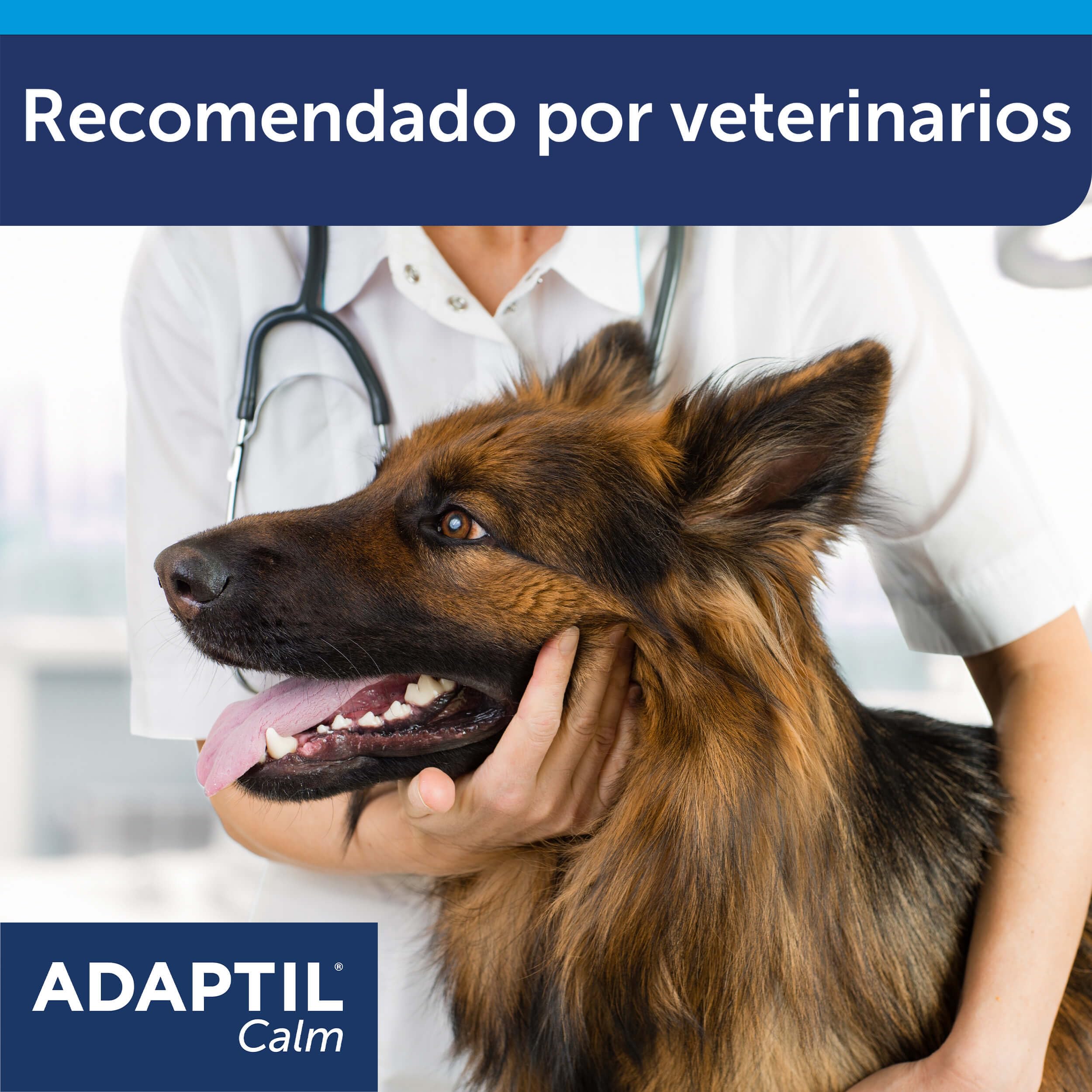 ADAPTIL Calm - Antiestrés para perros - Solo en casa, Miedos, Ruidos fuertes, Adopción - Recambio 48ml