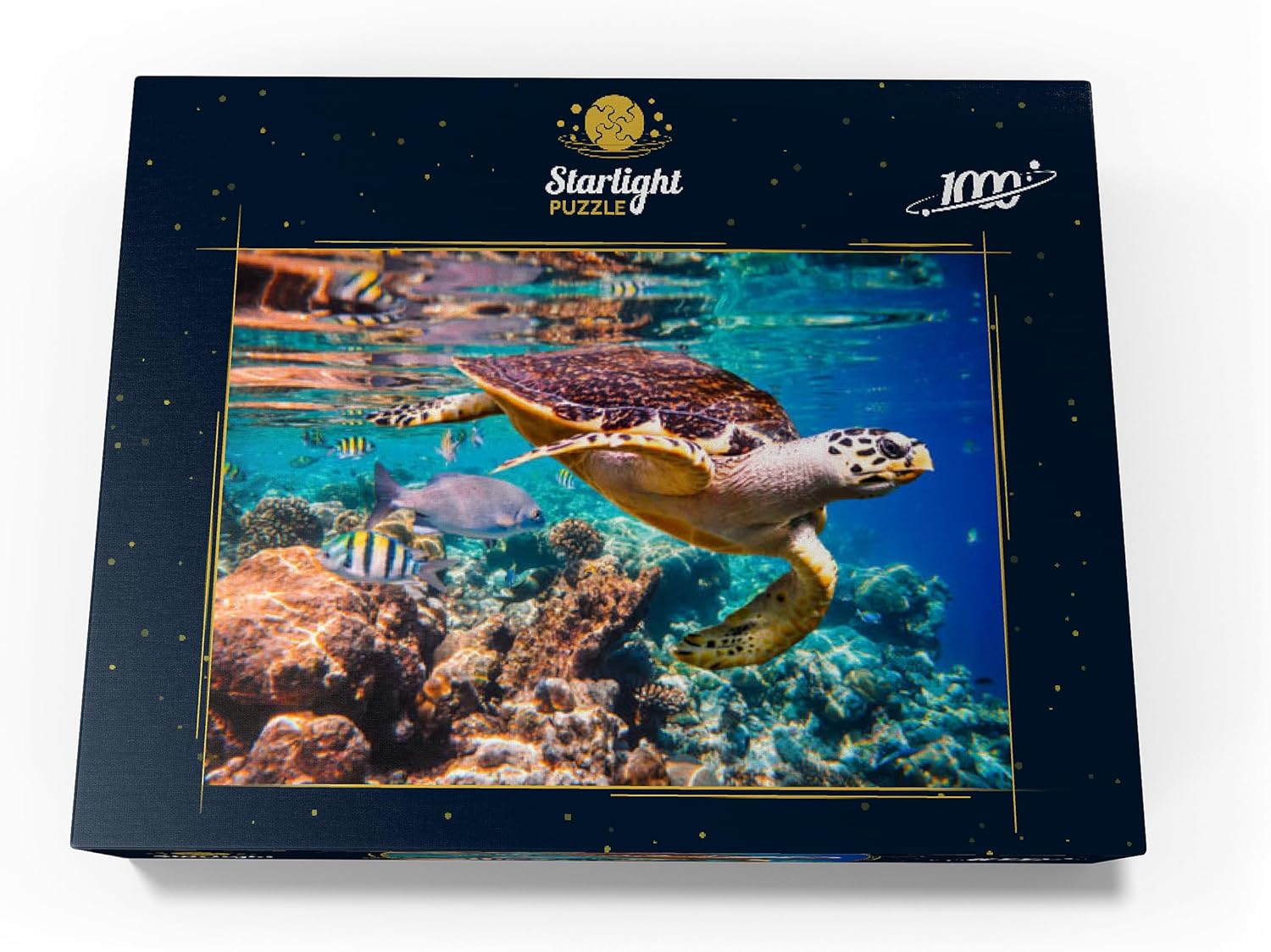 MyPuzzle Hawksbill Turtle Maldives - Premium 1000 Piece Jigsaw Puzzle for Adults