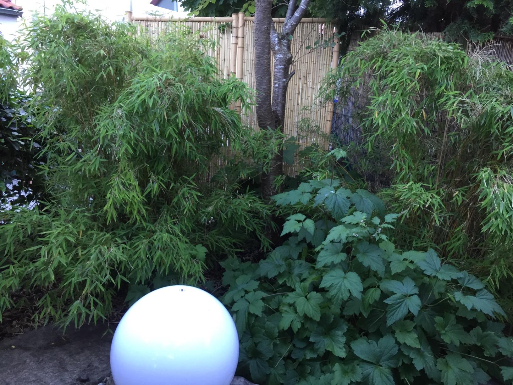 Bambuswand Bambuselement "TEN New Line2 180 x 90cm Sichtschutz mit