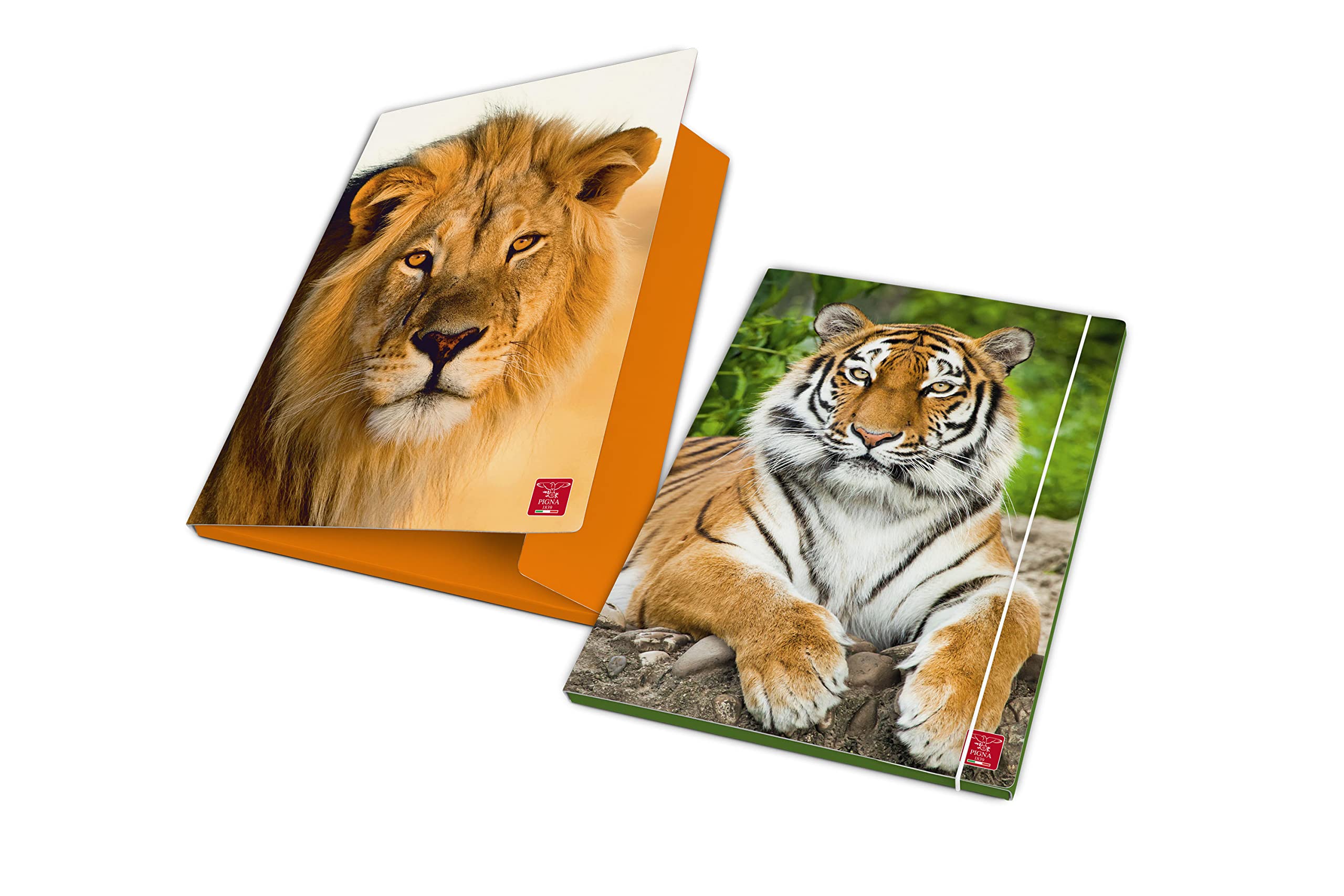 Pigna, Document Folder with Elastic Animal, Spine 1.2, Format 26 x 35.5 cm, Pack of 6
