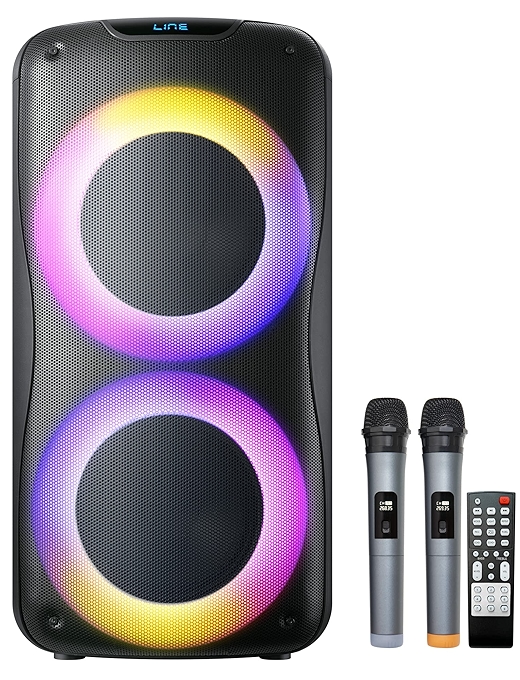 800W充电式K歌机，双8寸低音喇叭，UHF麦克风，无线连接，LED灯，遥控操作