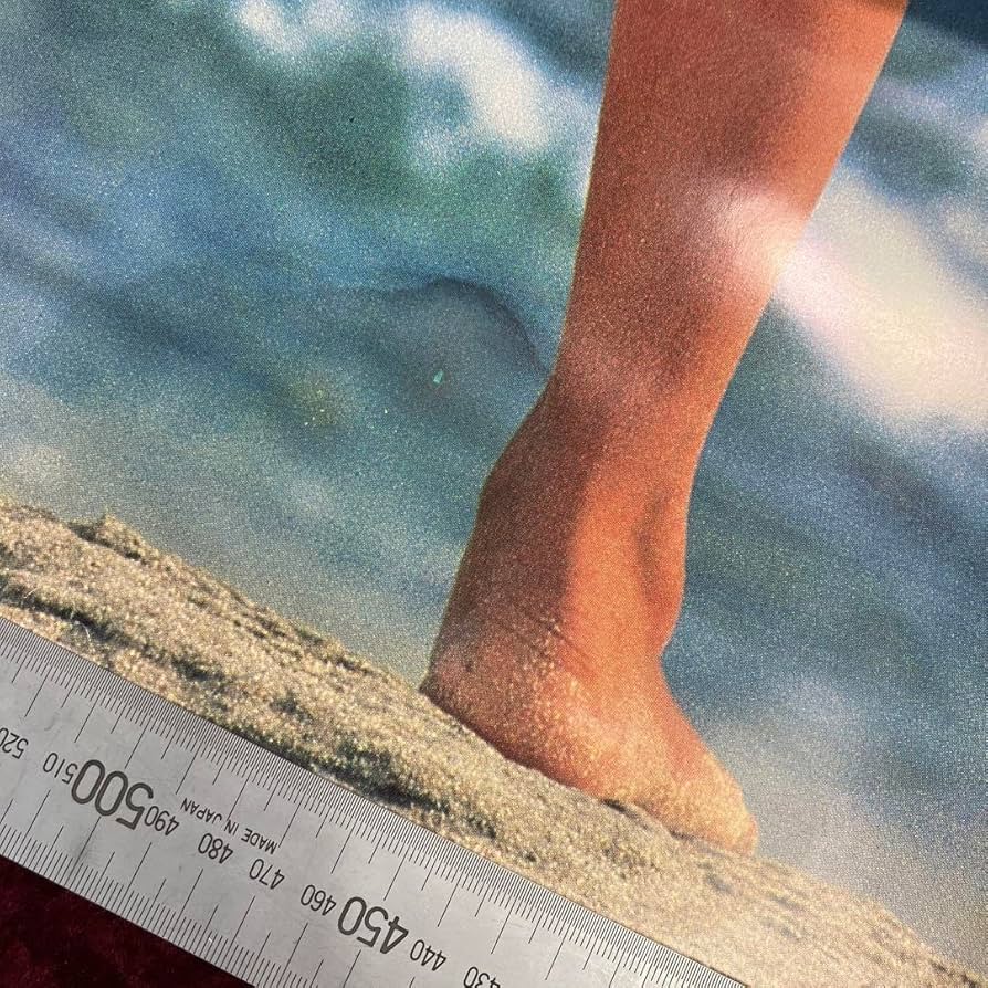 Amazon.co.jp: フローレンス芳賀？ ニノミヤムセン 1985年度