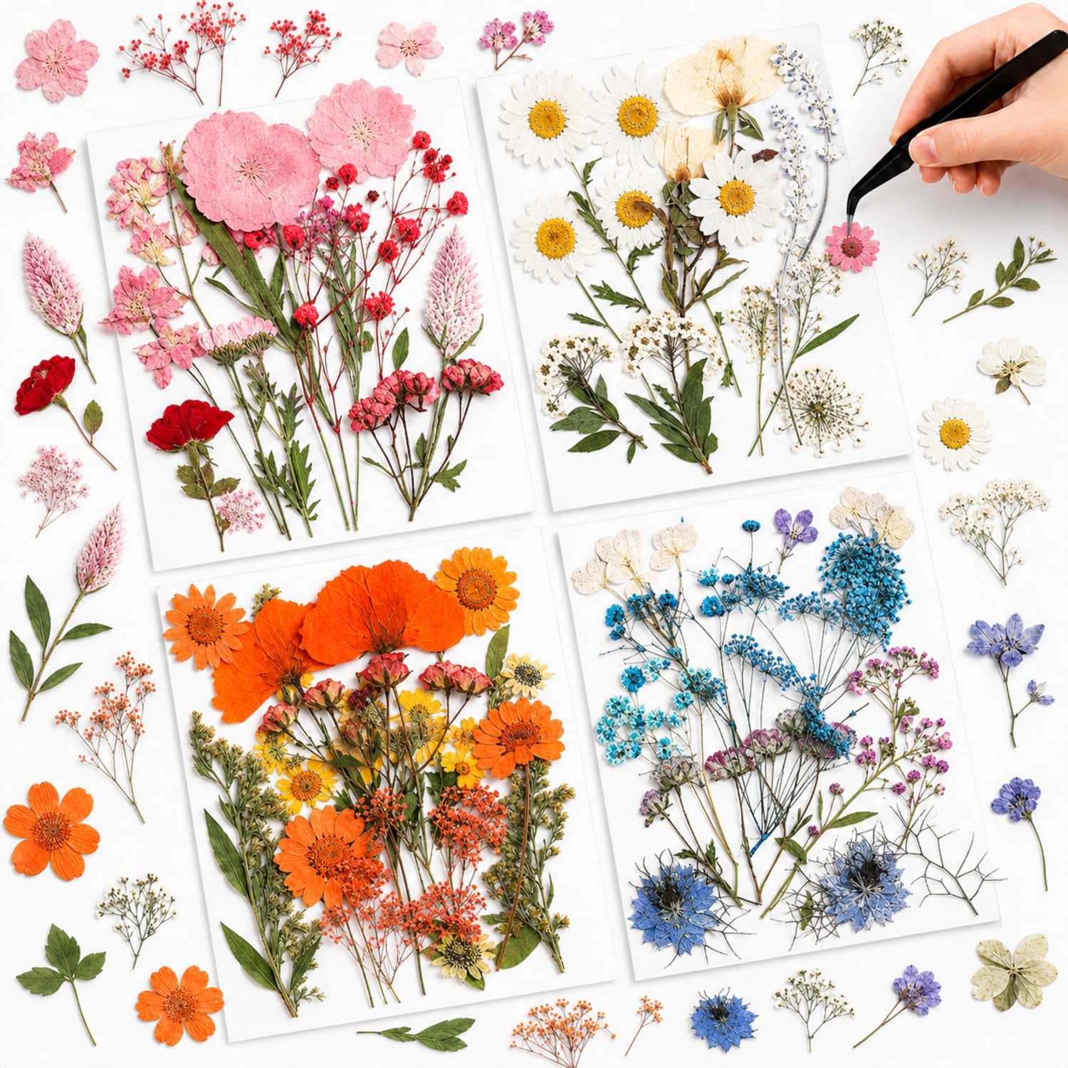 Nuanchu Real Dried Pressed Flowers Wildflower Stem for Resin Mold Craft DIY