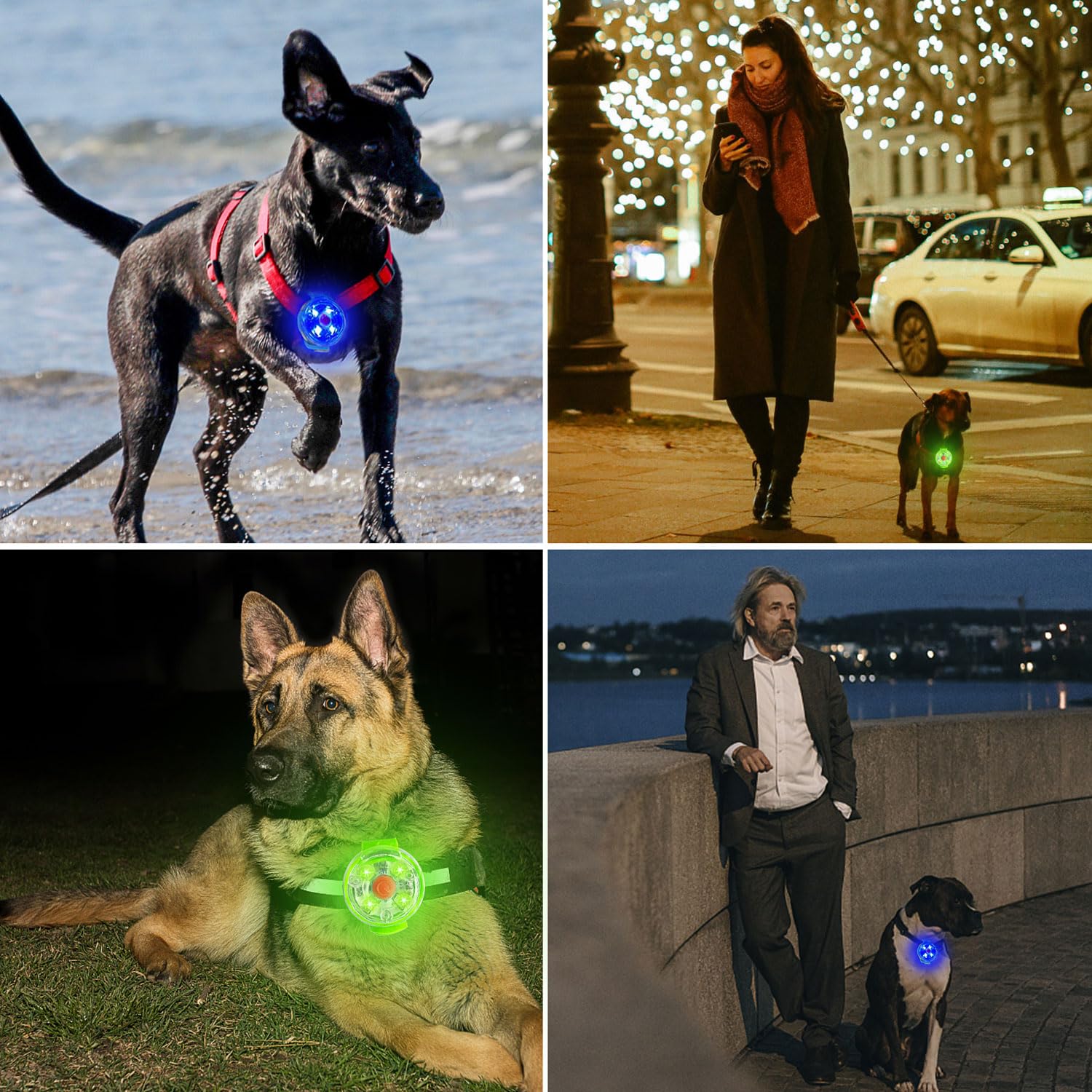 2 luces de seguridad para mascotas, recargable por USB, luz LED intermitente para perros, gatos, 3 modos de parpadeo, impermeable, seguridad para mascotas