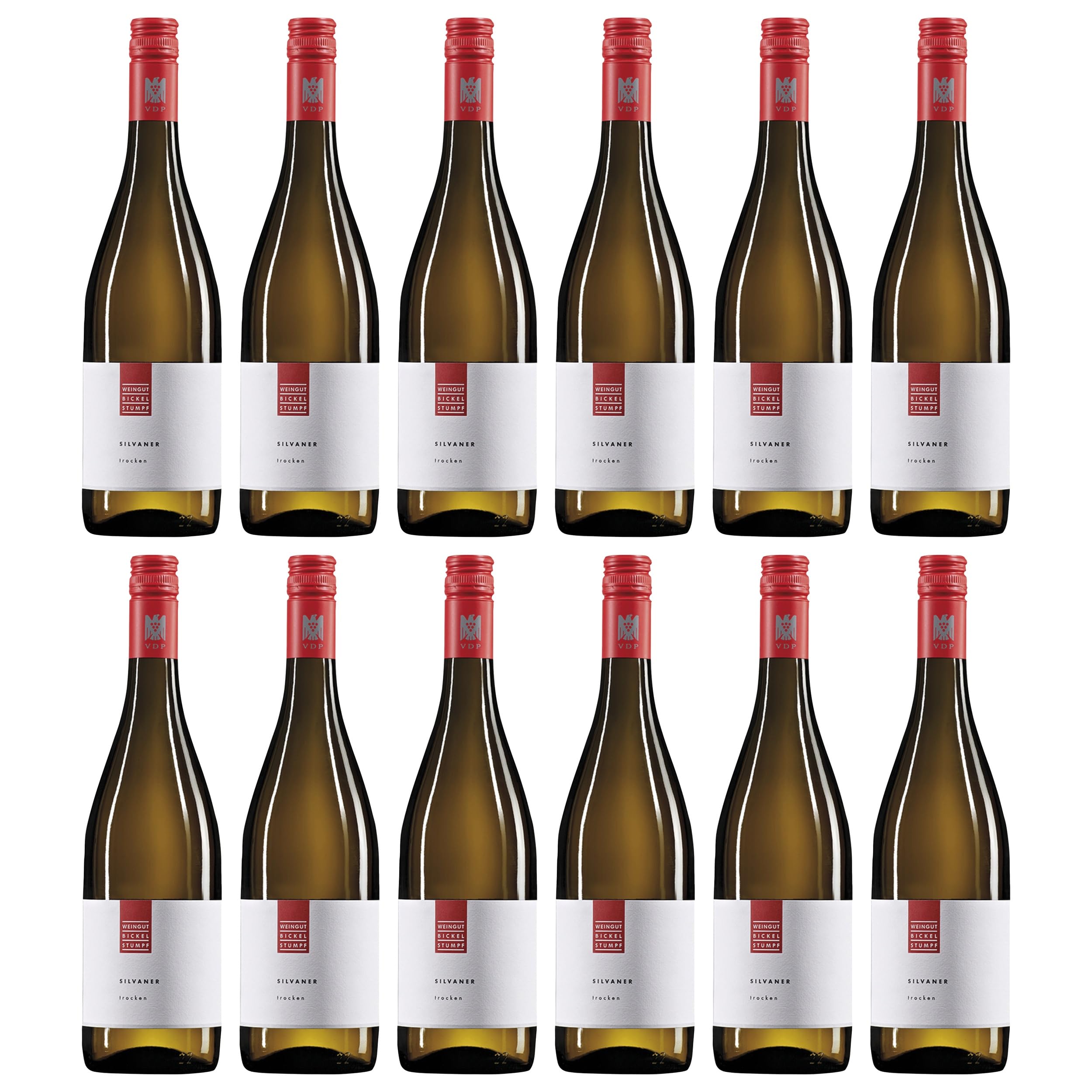 Bickel-Stumpf Silvaner QbA Weisswein Weiss trocken Deutschland inkl. FeinWert E-Book (12 x 0.75 l)