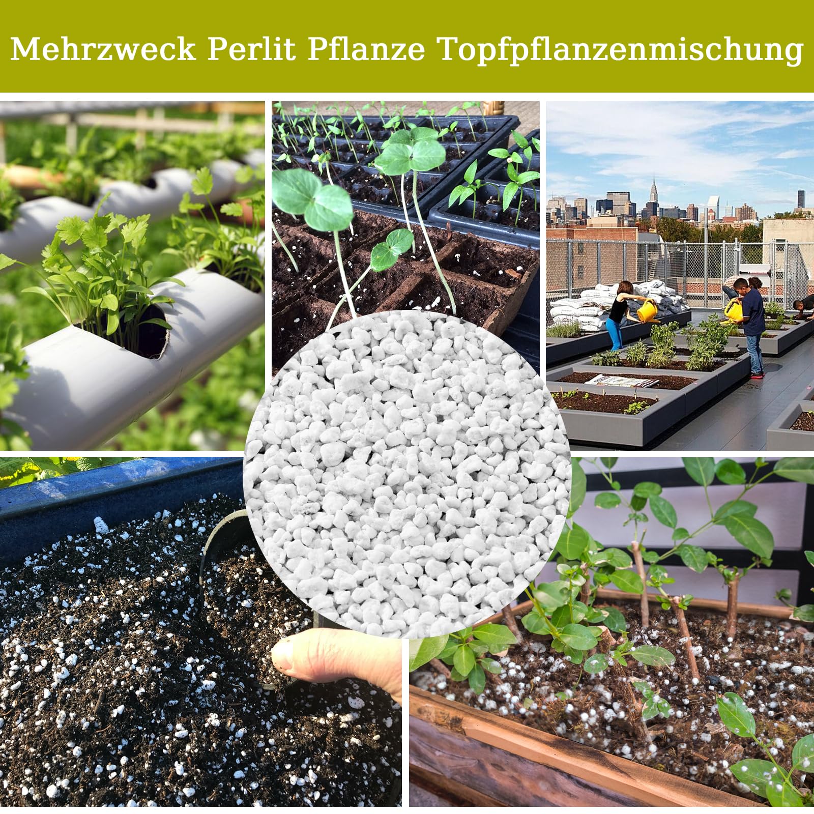 Riare Perlite für Pflanzen Natürliches Perlit für Pflanzen Erden- und Substratverbesserung Verbessert Feuchtigkeitsspeicher Substrat für Garten & Zimmerpflanzen