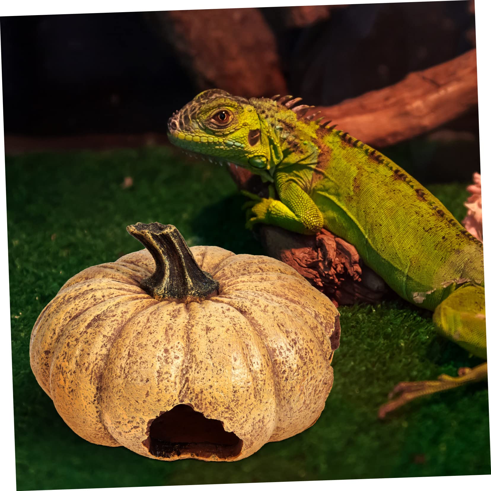 Angoily Terrario Decorativo De Calabaza para Reptiles Escondite Natural para Terrarios y Acuarios Accesorio Lifelike para y Pequeños Animales
