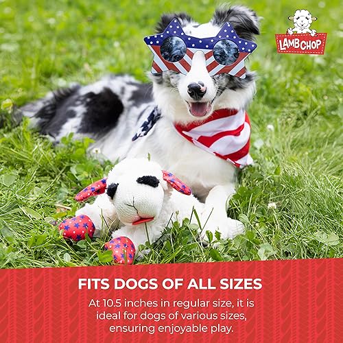 Miniatura 7 de Multipet Lamb Chop - Juguete para perro con sombrero de cumpleaños, azul, 10.5 pulgadas