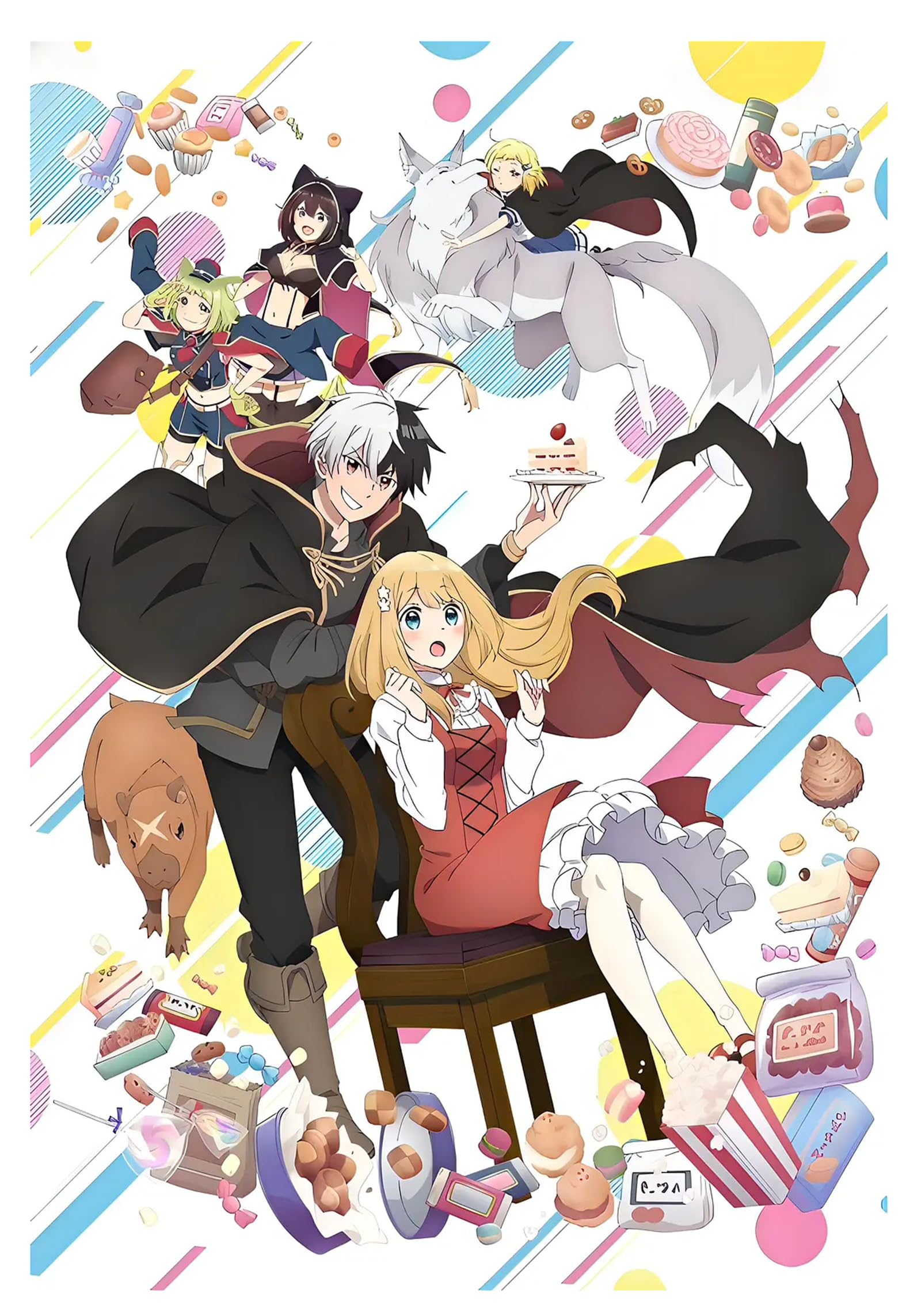 婚約破棄された令嬢を拾った俺が、イケナイことを教え込む 〜 アニメ 全12巻,DVDメディアプレーヤーに対応