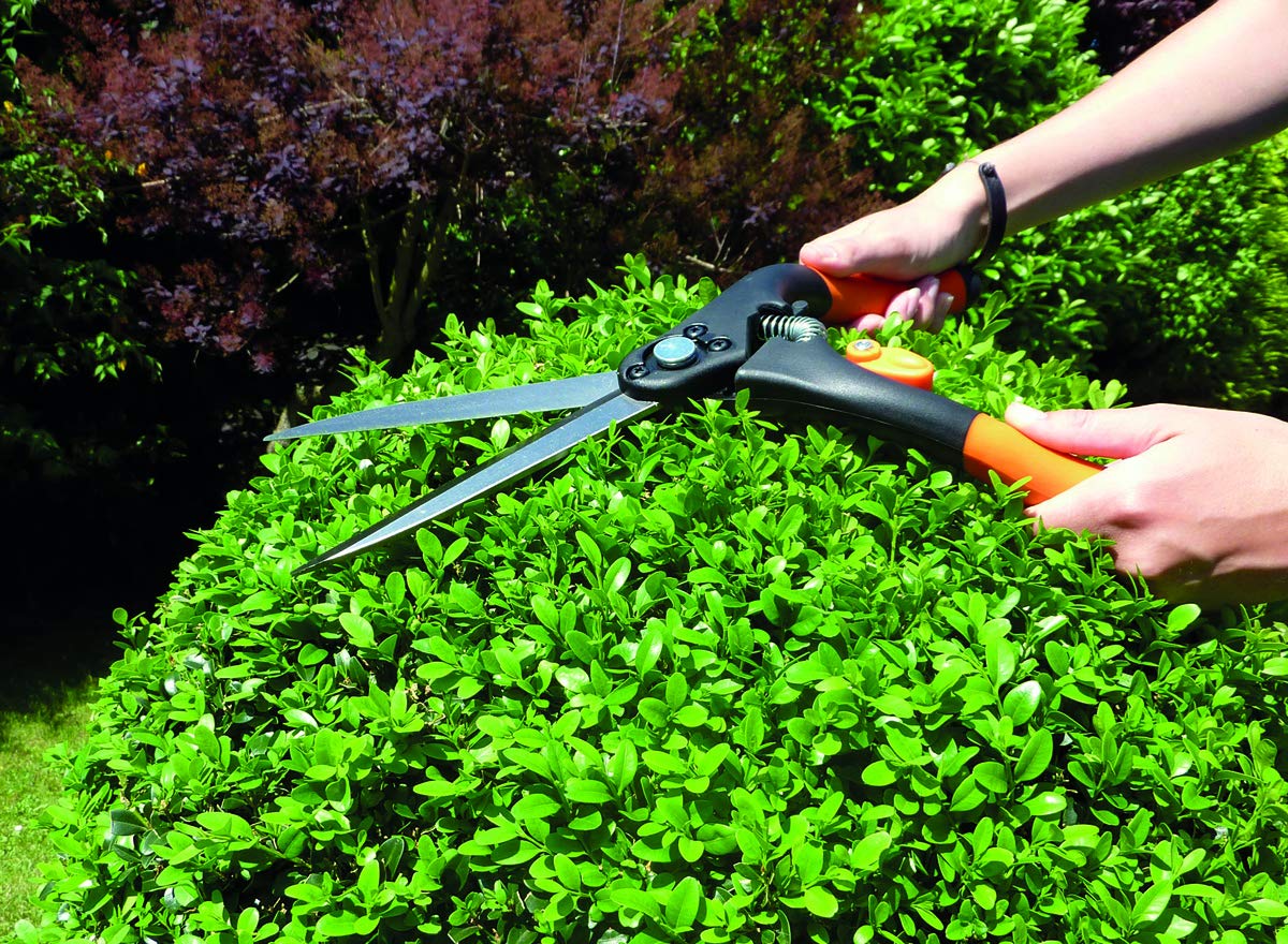 Garten Primus Gartenschere, Grasschere, Rasenschere, Buchsbaumschere, groß, schwarz/orange, 28 x 4,9 x 4 cm, 01210