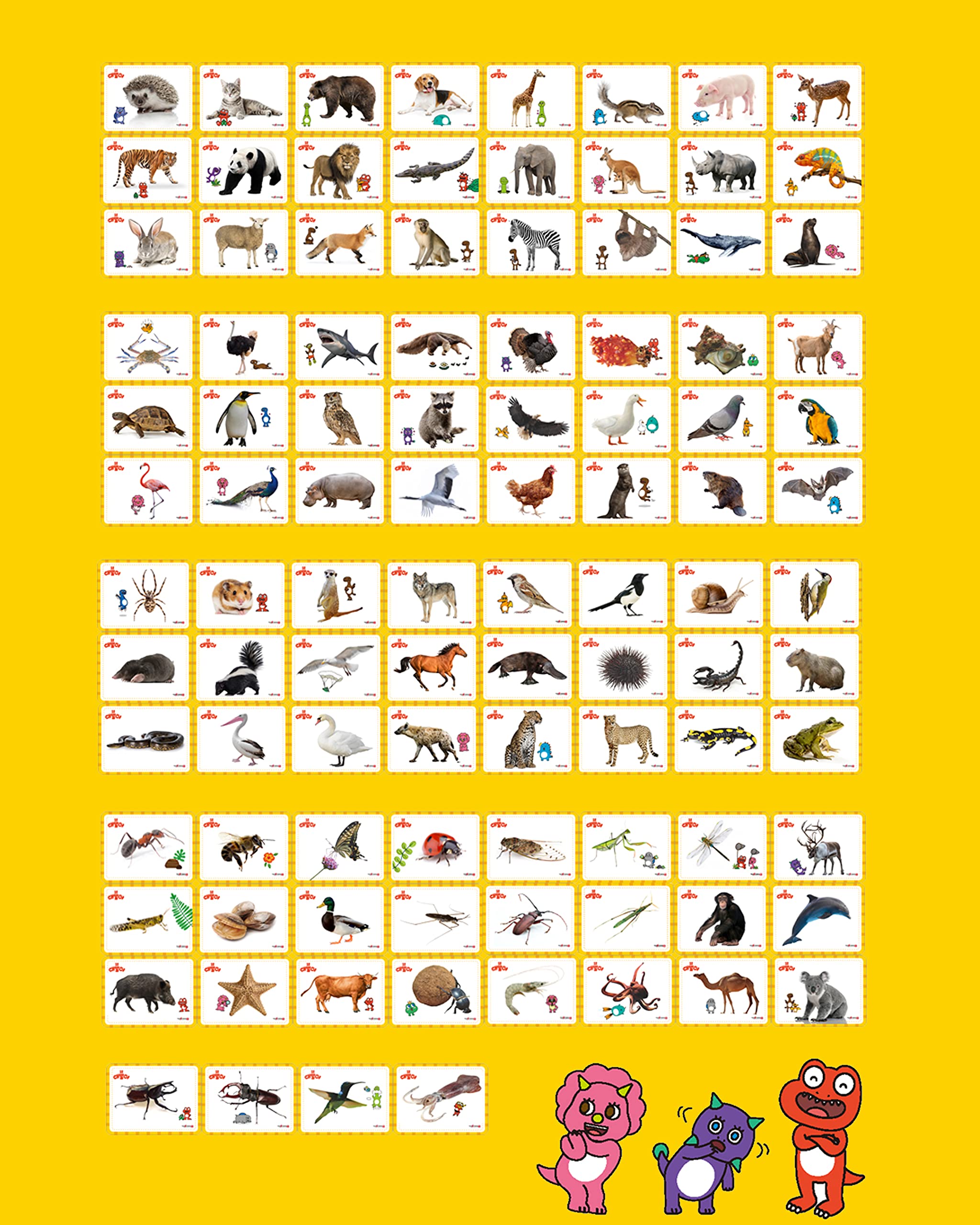 Snapklik.com : 100 Korean Vocabulary Word Cards By Theme: Animals And ...