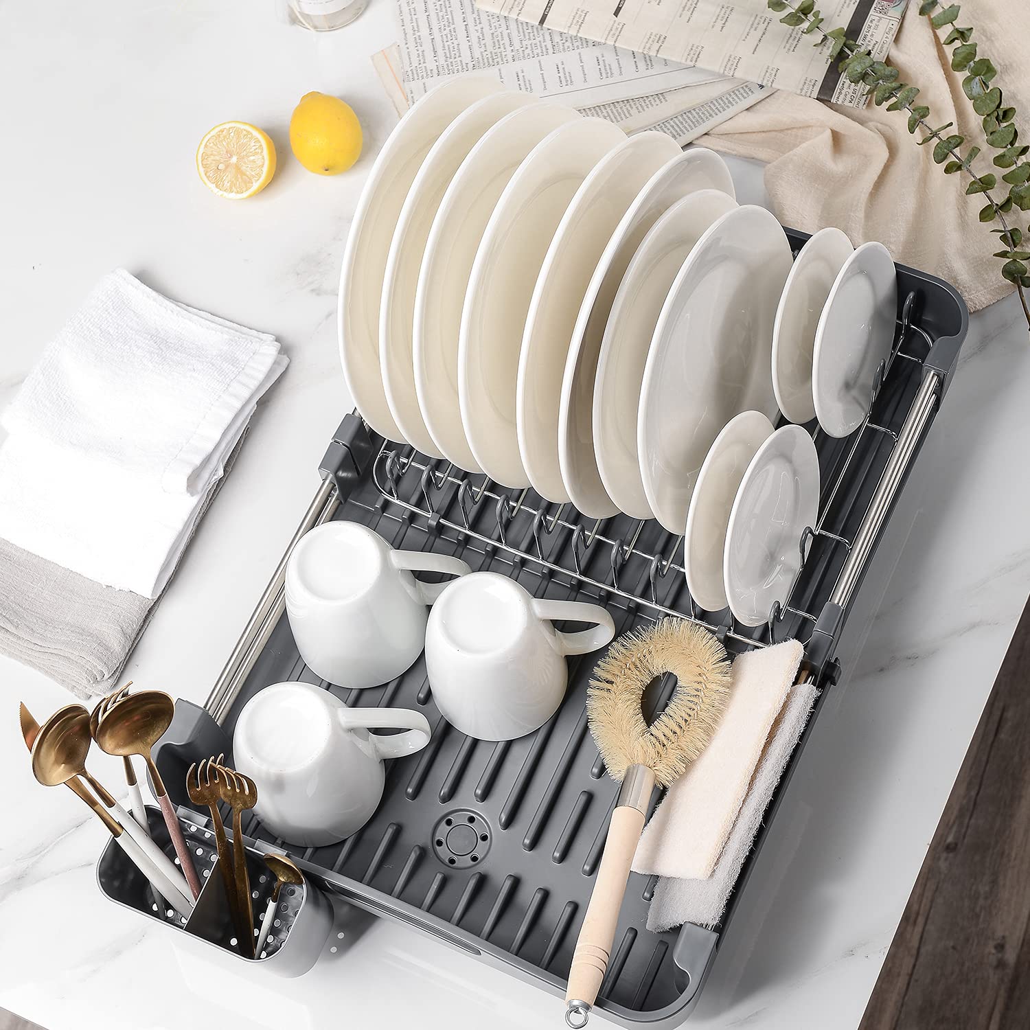 Stainless Steel Dish Shanik Expandable Draining Dish Rack Blanco