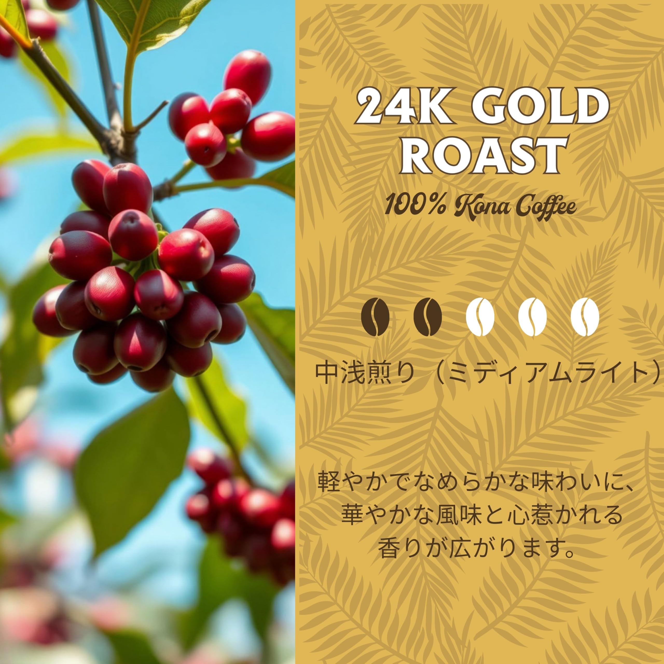 Amazon | ハワイコナ100% 24キャラット(粉) 198g ライオンコーヒー