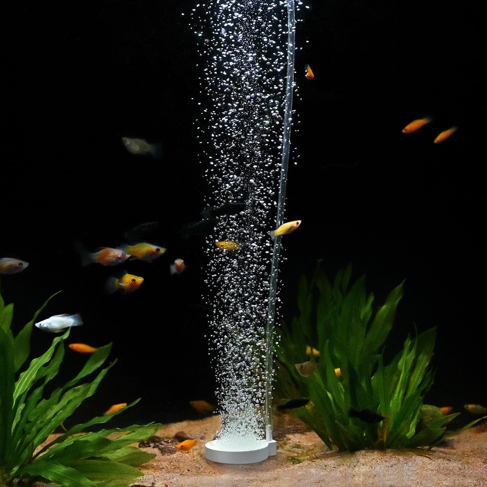 WTMCC 1.96 Inch Nano Air Stone - High Oxygen Diffuser for Aquariums, Plate Shape Bubbler with 1 Check Valve, Fish Tank Air Pump Accessories for Tanks (White,5 cm)