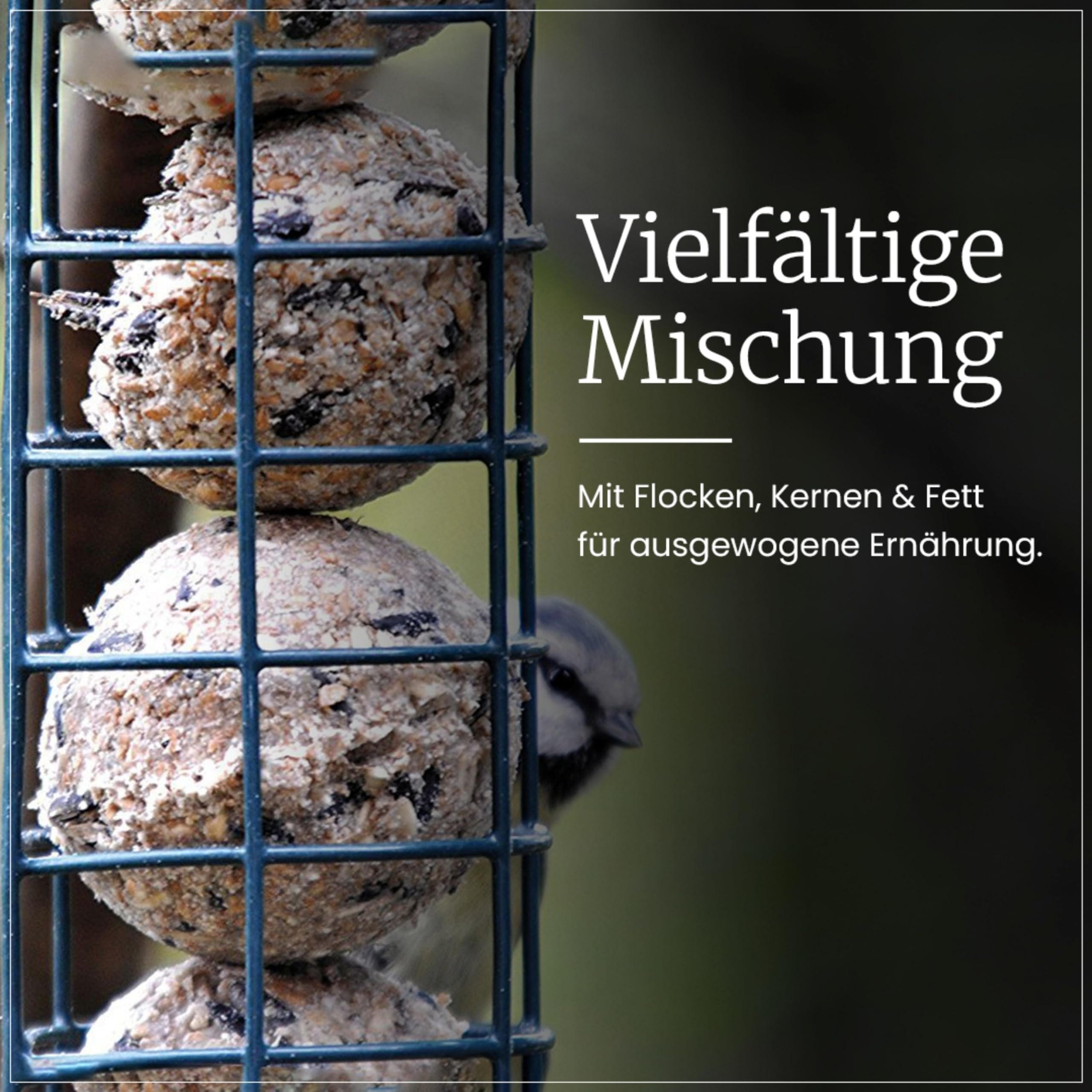 Erdtmanns Meisenknödel ohne Netz 100 Stück 8,5 kg – umweltfreundliches Wildvogelfutter mit Sonnenblumenkernen, Hafer & Talg – Ganzjahresfutter – ohne Plastiknetz & leicht zu verfüttern