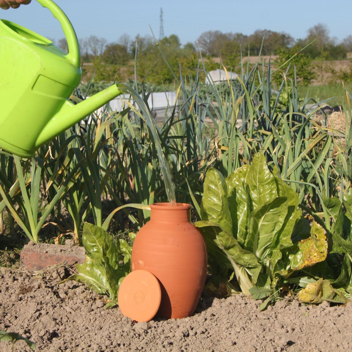 Duo d'Ollas Gardenier rozmiar M 2,5 l – produkcja francuska – autonomiczne i ekologiczne nawadnianie do ogrodu warzywnego i ogrodowego