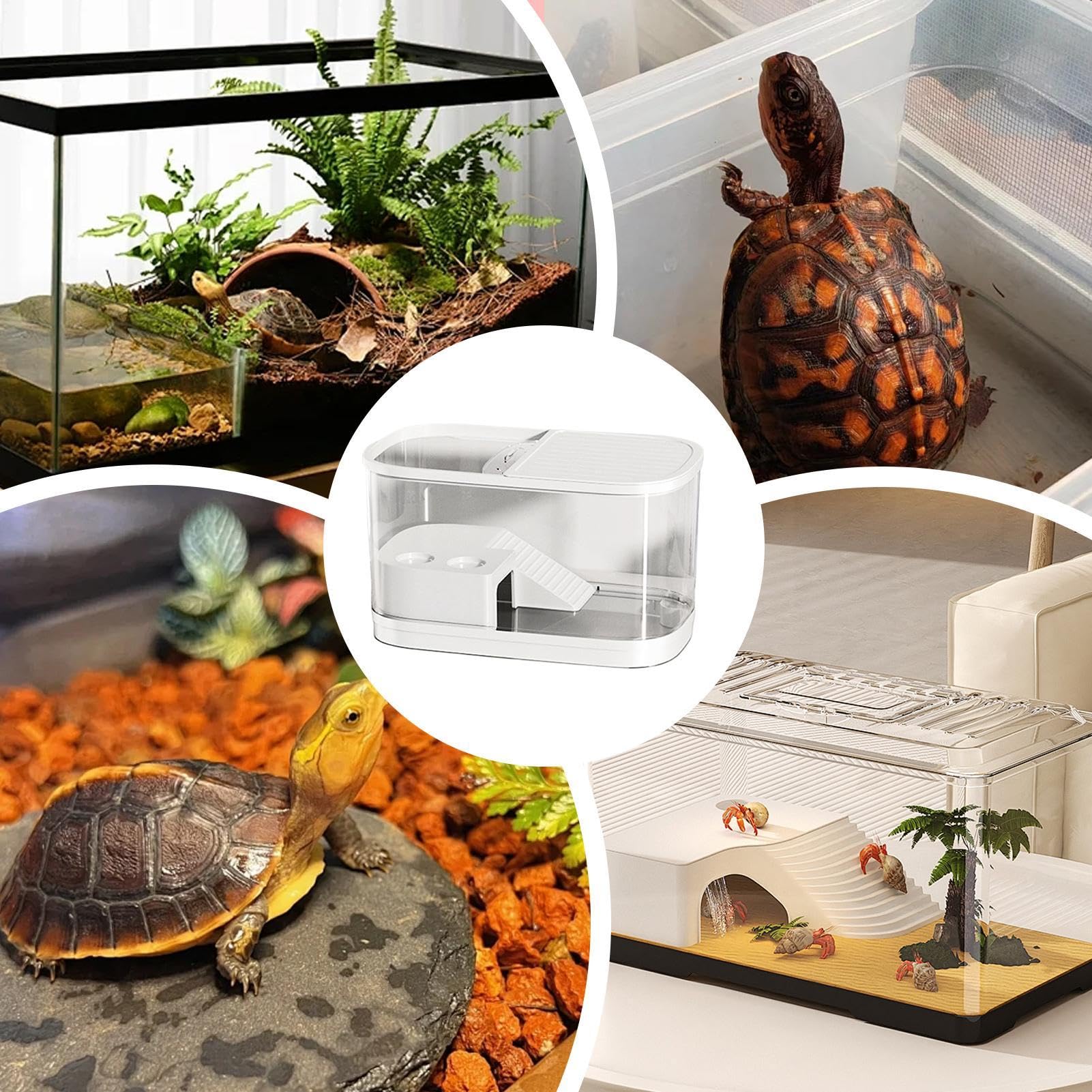 Terrario per Rettili e Anfibi Habitat per rettili vari | Terrario per tartarughe di piccola taglia per , Tarantola, Tartaruga, Drago Barbuto, , Camaleonte, Rana, Serpente