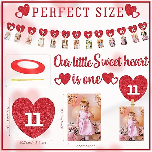 Miniatura 8 de Pancarta de fotos de fantasma de Halloween para el primer cumpleaños, pancarta de fotos de cumpleaños de fantasma Haning para recién nacidos a 12