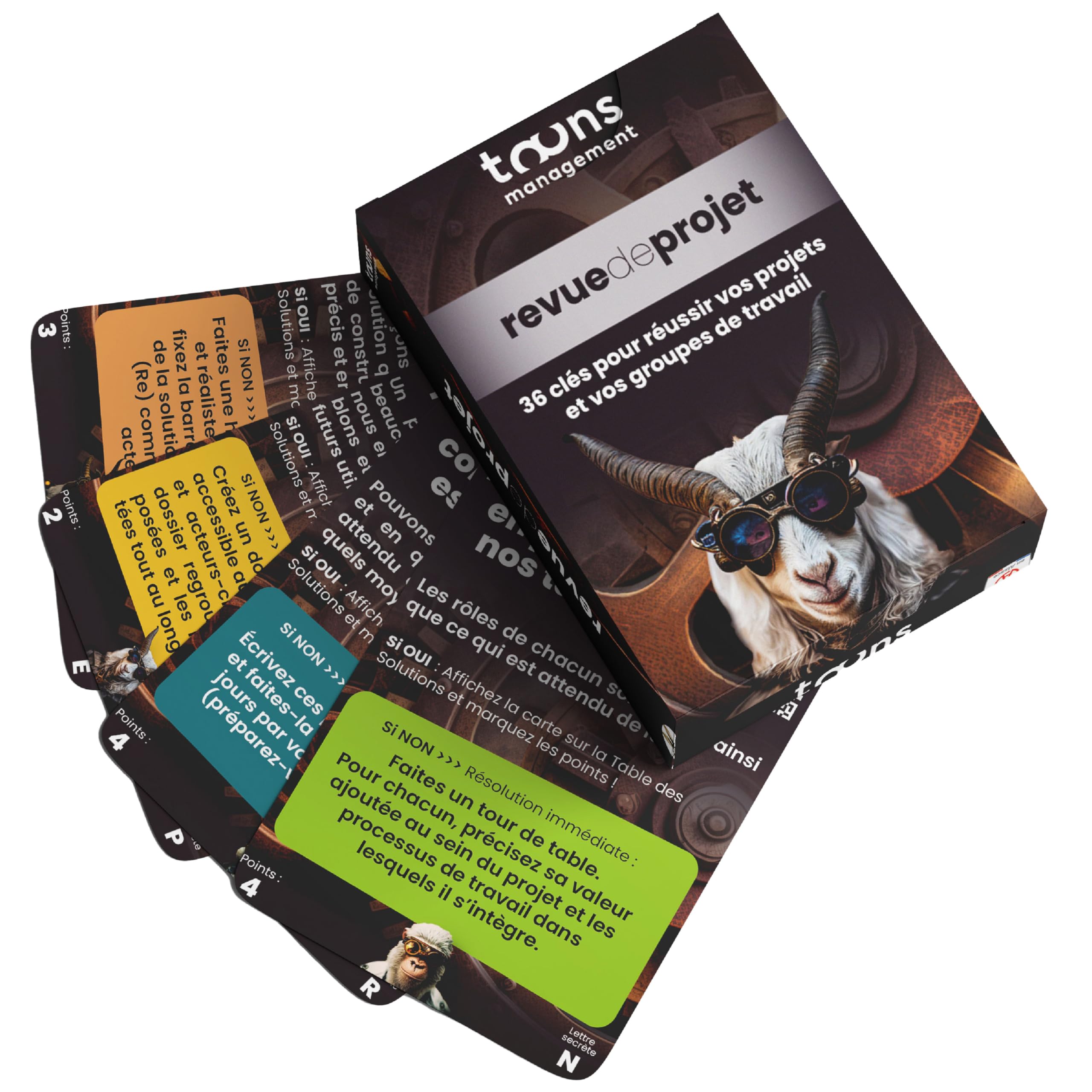 Jeu Revue de projet© | 64 cartes pour réussir vos réunions de pilotage | Structuration & décisions claires en 15 min | Outil de gestion de projet collaboratif et management d’équipe