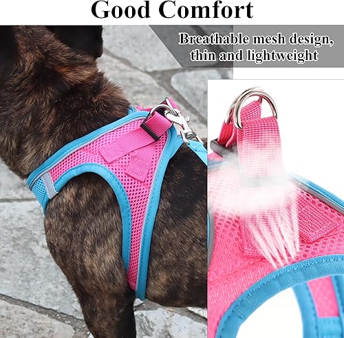 Miniatura 3 de Balabuki Chaleco de arnés para perros pequeños y medianos, sin tirones, fácil de caminar, suave, fácil de poner, a prueba de escape, juego de arnés
