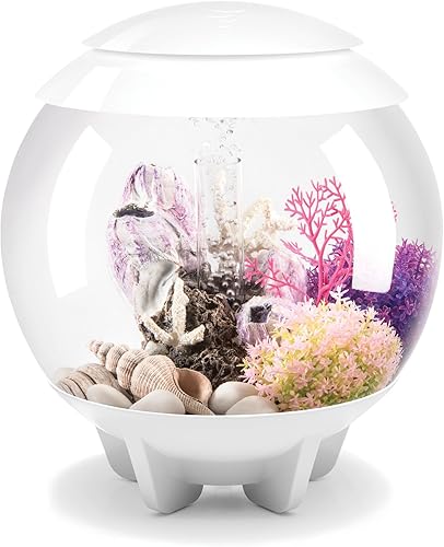 Miniatura 6 de biOrb Halo 15 - Acuario acrílico de 4 galones con luces LED de control remoto multicolor. Tanque moderno compacto para exhibición en mesa o Gris