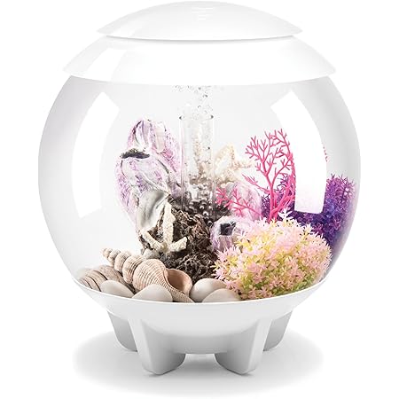 orb fish bowl