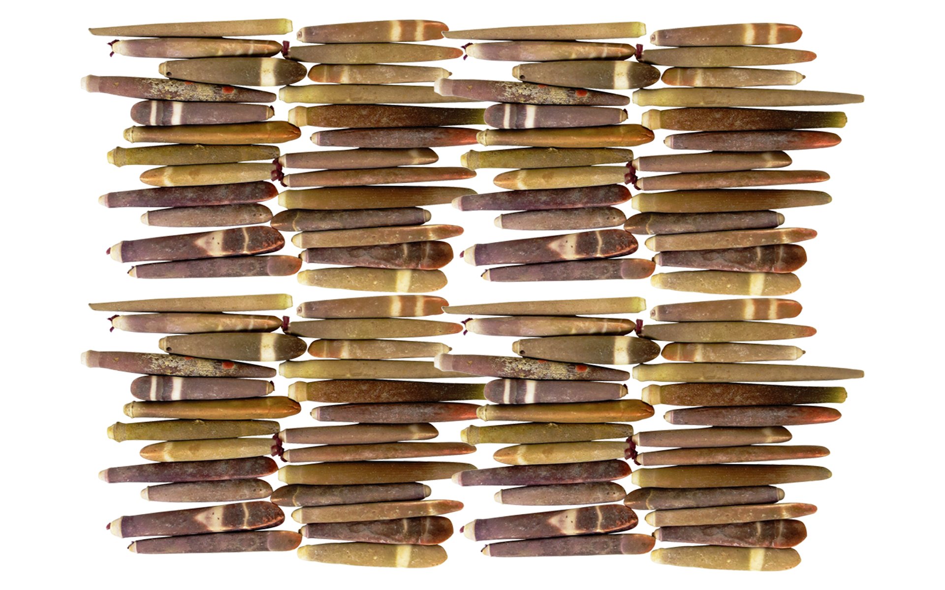 Quality Selected Seashells - Approx 90 pcs Shells – Sea Urchin Wands : Heterocentrotus Mammillatus for Seashell Vases, Boxes, Picture Frames, Jewelry Making & Mini Garden Miniature