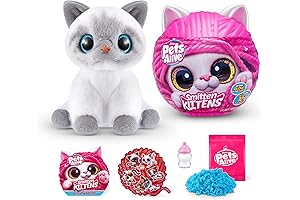 Smitten Kittens Surprise (Birman Cat Bonnie): Adopt a Purrfect Pal from Pets Alive