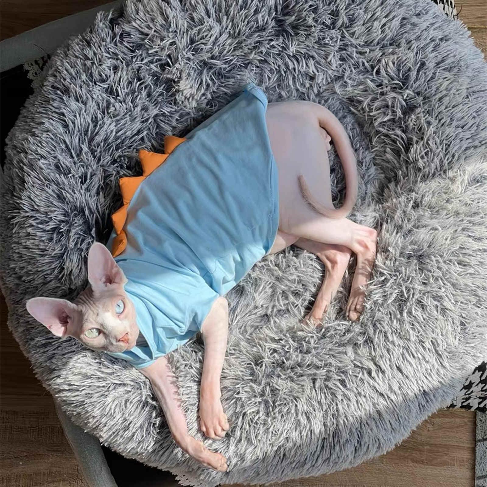 Dinosaur Sphynx Hairless Cat Clothes Cute Summer Cotton Shirts Cat Costume  Pet Clothes Kitten T-Shirts Cats Small Dogs Apparel (Lake Blue, M - Main Image