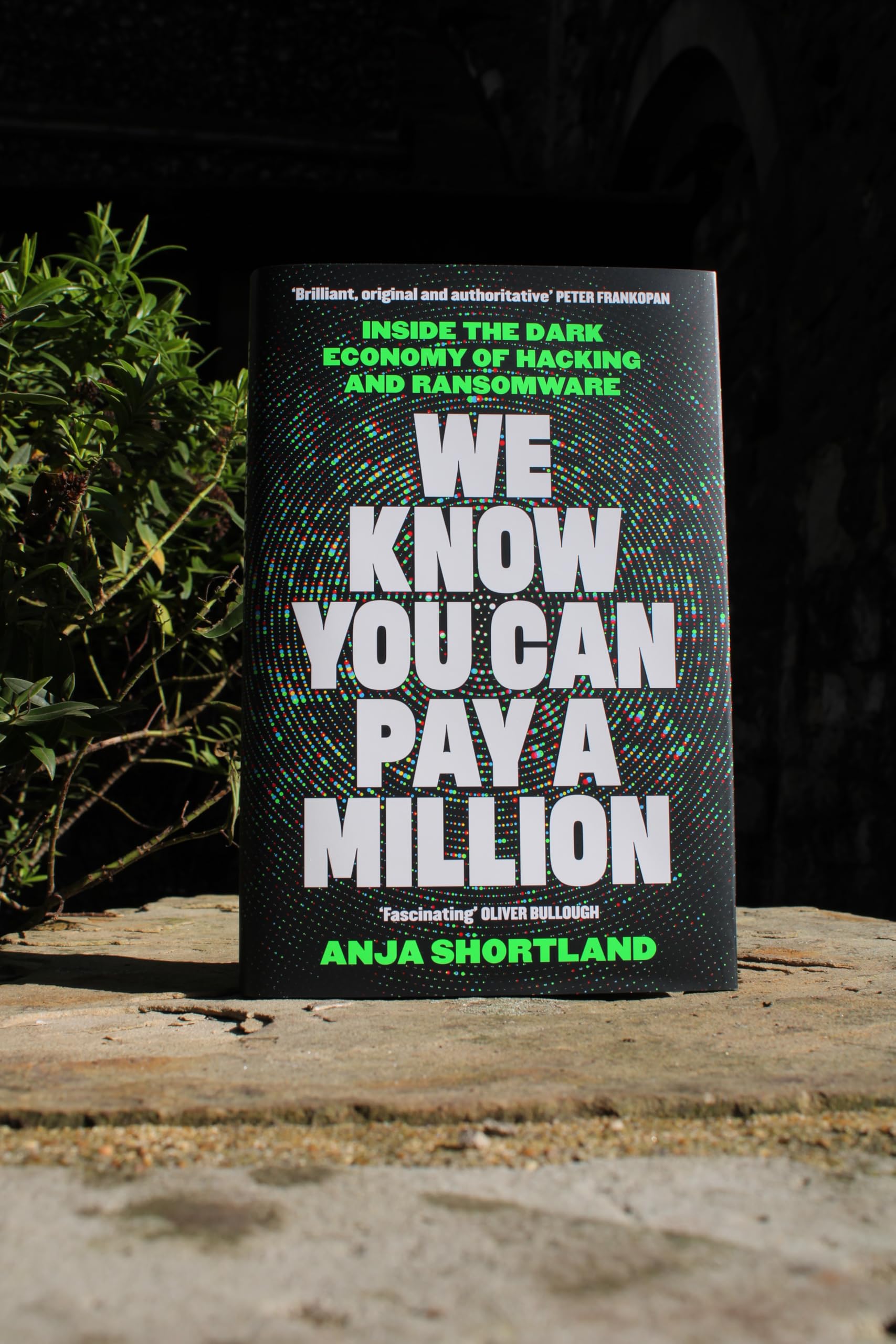 We Know You Can Pay a Million: Inside the Dark Economy of Hacking and Ransomware