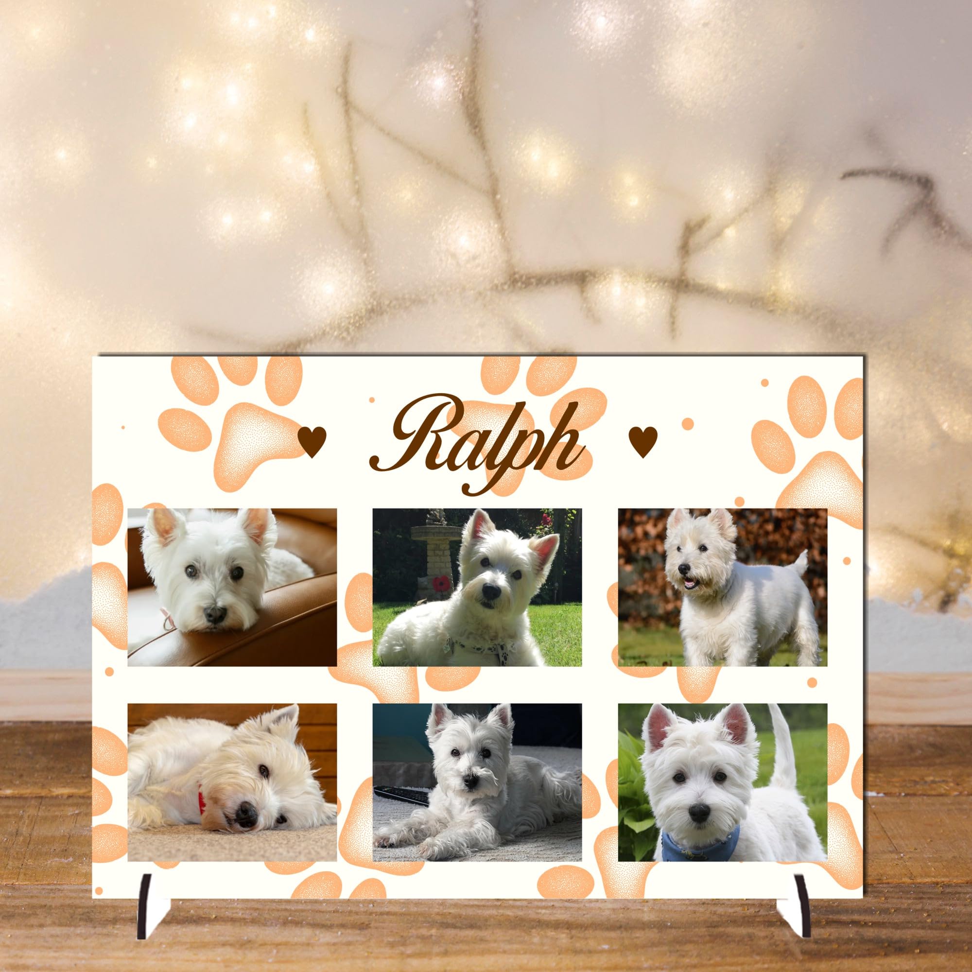 Pixie's Gifts Personalised Pet Photo Plaque on Stand - Custom Gift for Dogs or Cats - Available in 4 Designs, 3mm MDF and Acrylic (Orange, Acrylic A4 30cm x 21cm)