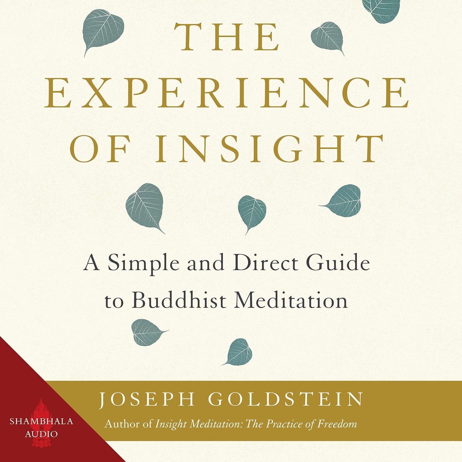 A Simple and Direct Guide to Buddhist Meditation