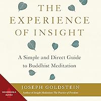 Algopix Similar Product 17 - The Experience of Insight A Simple and