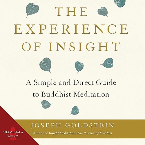 The Experience of Insight: A Simple and Direct Guide to