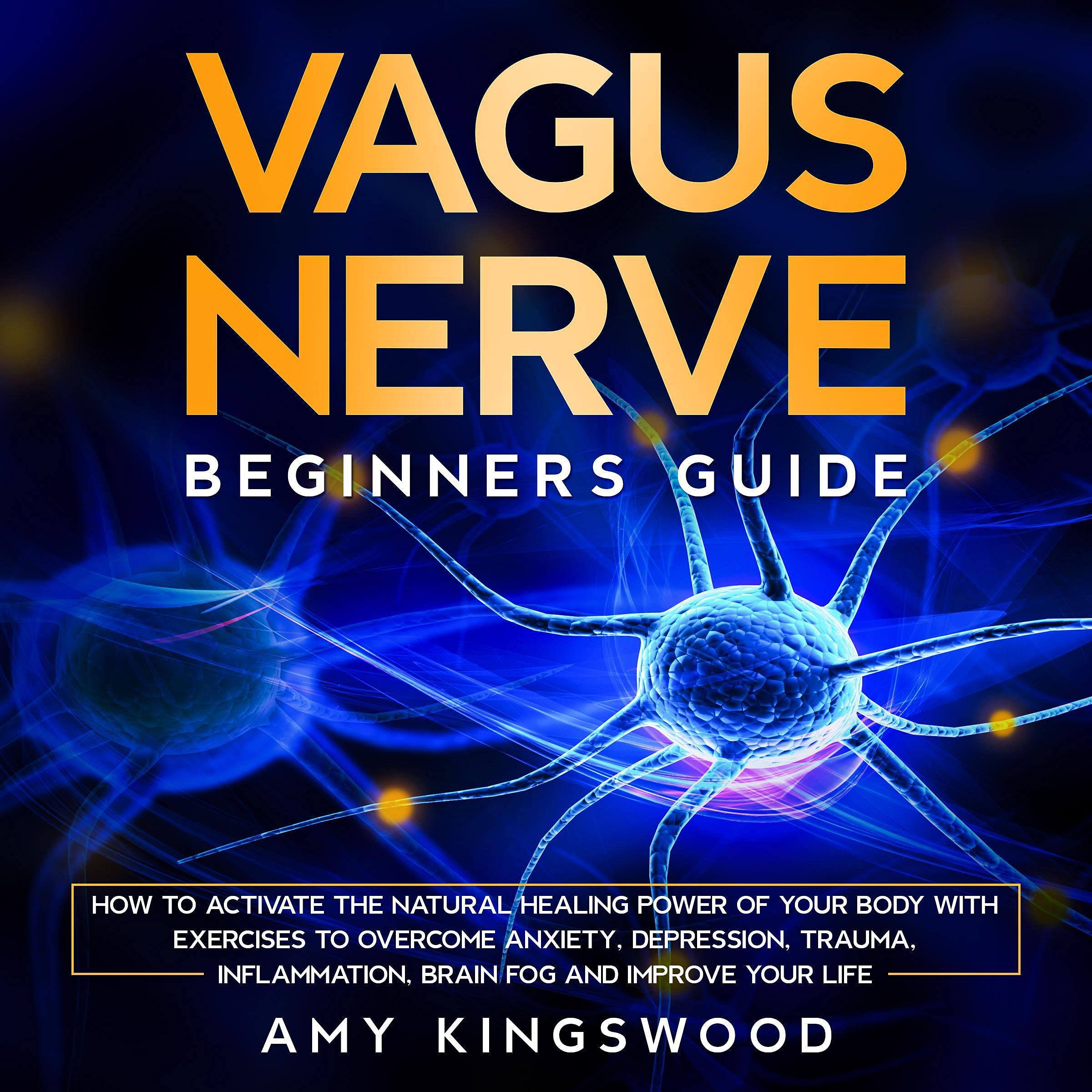 Vagus Nerve: Beginner’s Guide